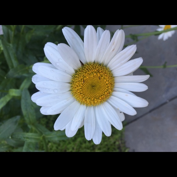 Summer , Fall, Winter and Spring clothes . 👗👠👒 - Picture 3 of 9